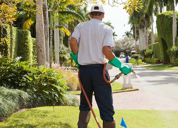About Penwell TX Pest Control